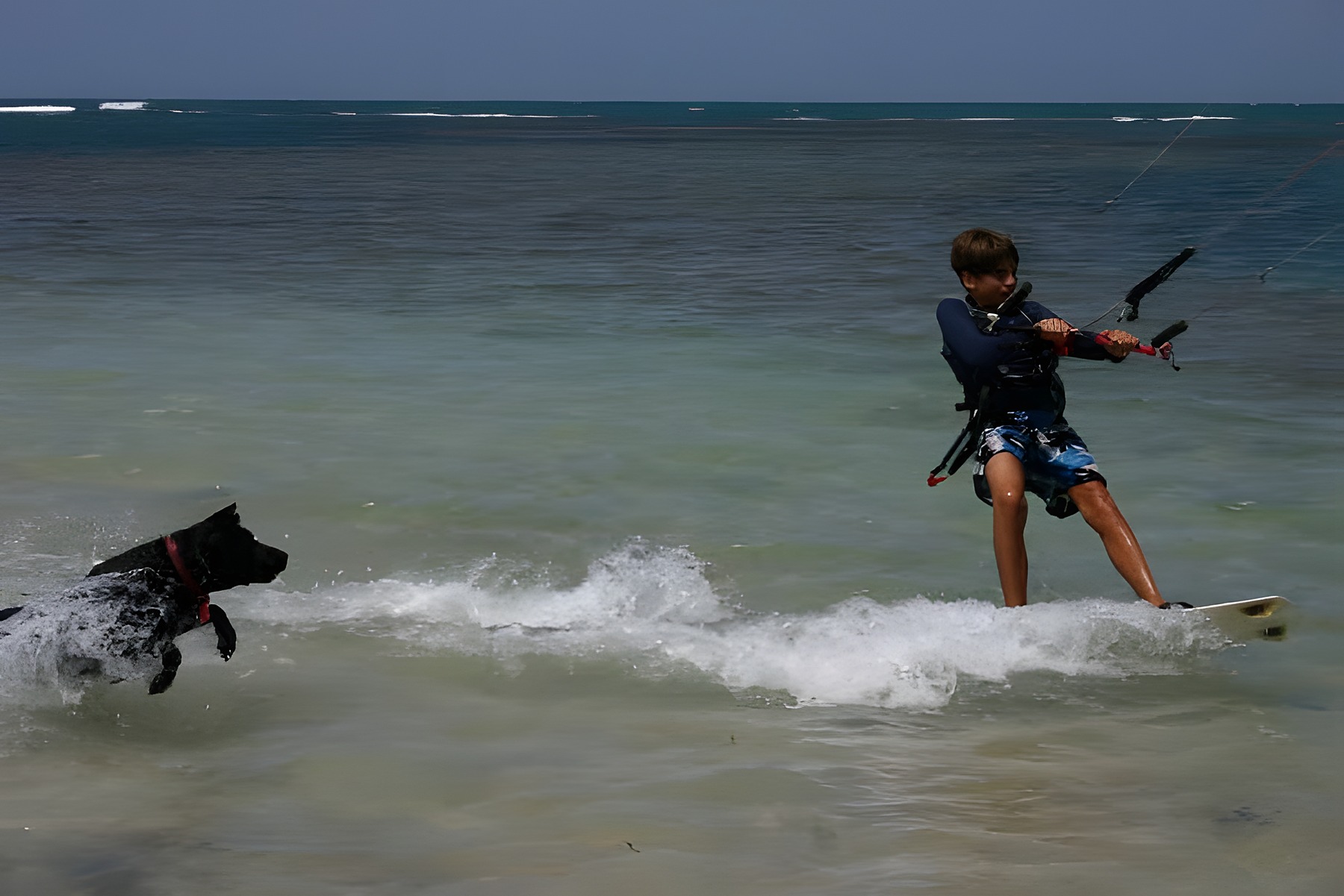 Teenage Hugo Beaumont kitesurfing in the shallows, chased by a dog